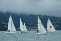 Wolf Leads the Pack