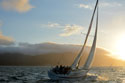 Wolf Sailing Team on San Francisco Bay - July 21, 2015 Race